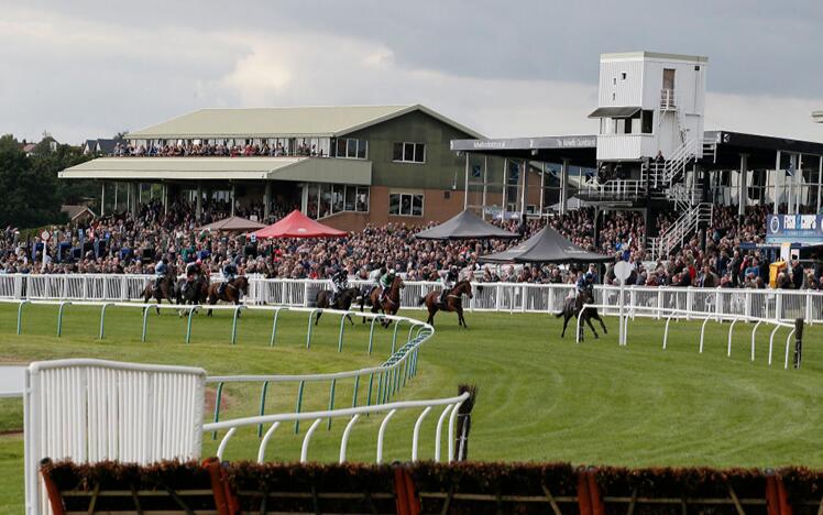 Crowd at Great Hereford Racecourse.